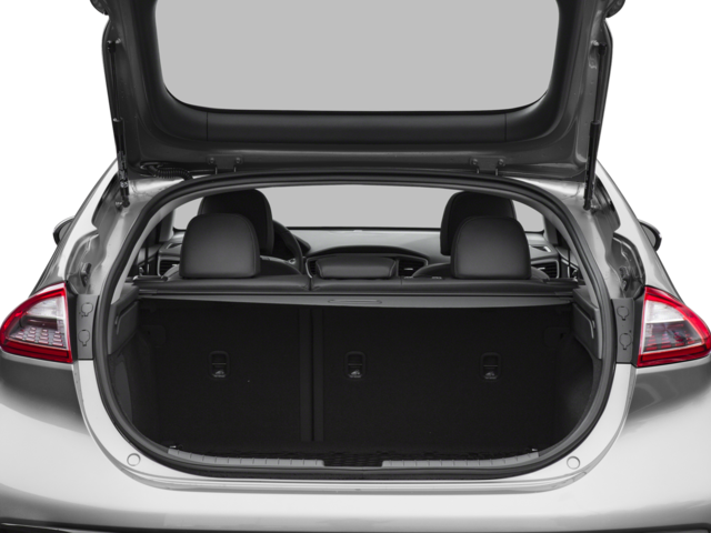 2018 Hyundai Ioniq Electric N