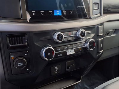 2025 Ford F150 XLT Y