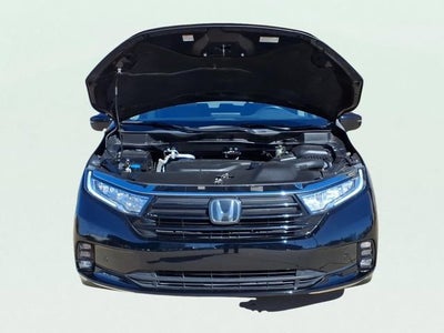2023 Honda Odyssey Elite