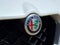2019 Alfa Romeo Stelvio Quadrifoglio AWD