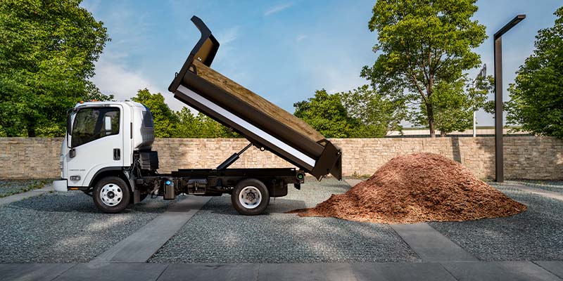 2024 Chevrolet 3500 HG LCF Gas